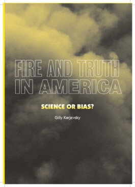 Alona Rodeh, Girl (from the Safe and Sound Poster Series), 2015