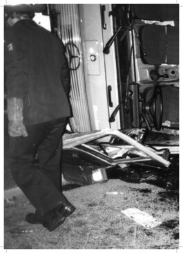 Alona Rodeh, Girl (from the Safe and Sound Poster Series), 2015