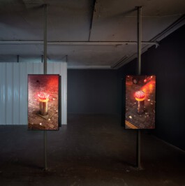  Alona Rodeh, Girl (from the Safe and Sound Poster Series), 2015