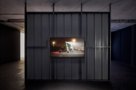  Alona Rodeh, Girl (from the Safe and Sound Poster Series), 2015