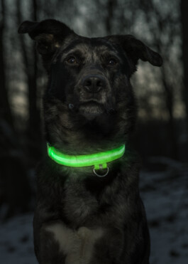 Alona Rodeh, Girl (from the Safe and Sound Poster Series), 2015