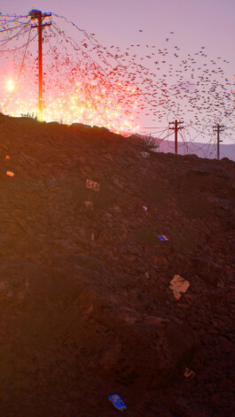 Alona Rodeh, Drones Go Boom, 2024