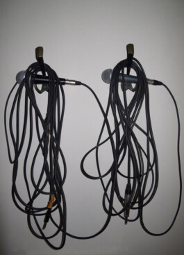 Alona Rodeh, Mics, 2011 Alona Rodeh, Girl (from the Safe and Sound Poster Series), 2015