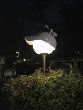 Alona Rodeh, Installation view