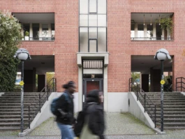 Alona Rodeh, Installation view