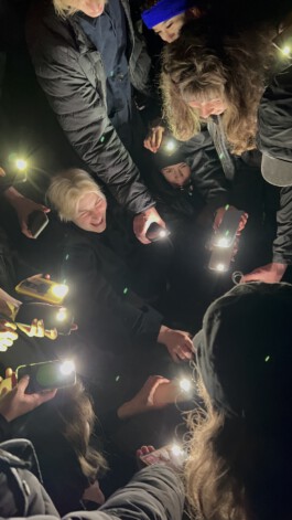  Alona Rodeh, Girl (from the Safe and Sound Poster Series), 2015