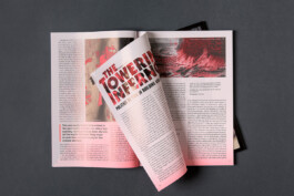 Alona Rodeh, Girl (from the Safe and Sound Poster Series), 2015