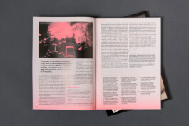 Alona Rodeh, Girl (from the Safe and Sound Poster Series), 2015