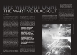  Alona Rodeh, Girl (from the Safe and Sound Poster Series), 2015