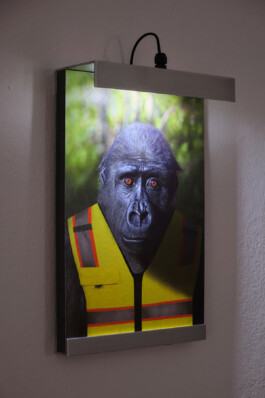  Alona Rodeh, Girl (from the Safe and Sound Poster Series), 2015