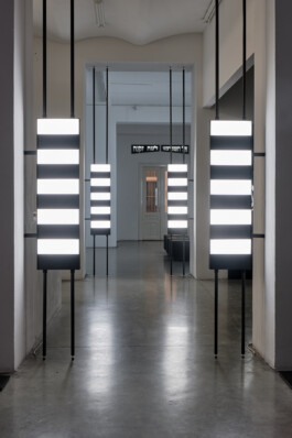 Alona Rodeh, Gates, Light Installation, Christine König Galerie, Vienna Alona Rodeh, Girl (from the Safe and Sound Poster Series), 2015