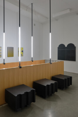 Alona Rodeh, Installation view The Long Stretch, Christine König Galerie, Vienna Alona Rodeh, Girl (from the Safe and Sound Poster Series), 2015