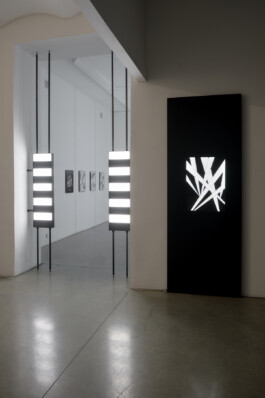 Alona Rodeh, British Beams, Gates, Installation view at Christine König Galerie, Vienna Alona Rodeh, Girl (from the Safe and Sound Poster Series), 2015