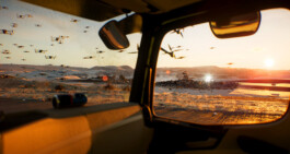 Alona Rodeh, CORE DUMP, CGI Short Animation Film Alona Rodeh, Girl (from the Safe and Sound Poster Series), 2015