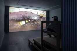  Alona Rodeh, Girl (from the Safe and Sound Poster Series), 2015