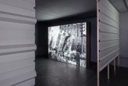  Alona Rodeh, Girl (from the Safe and Sound Poster Series), 2015