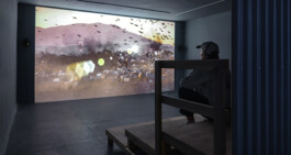 Rodeh Phenomenal Solo Show CORE DUMP Alona Rodeh, Girl (from the Safe and Sound Poster Series), 2015