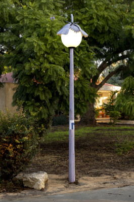  Alona Rodeh, Girl (from the Safe and Sound Poster Series), 2015